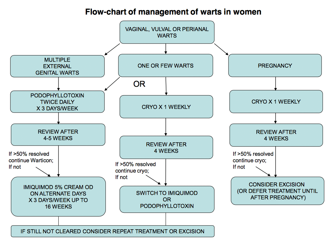 Genital Warts Clinical Feature Management Teachmeobgyn 4573