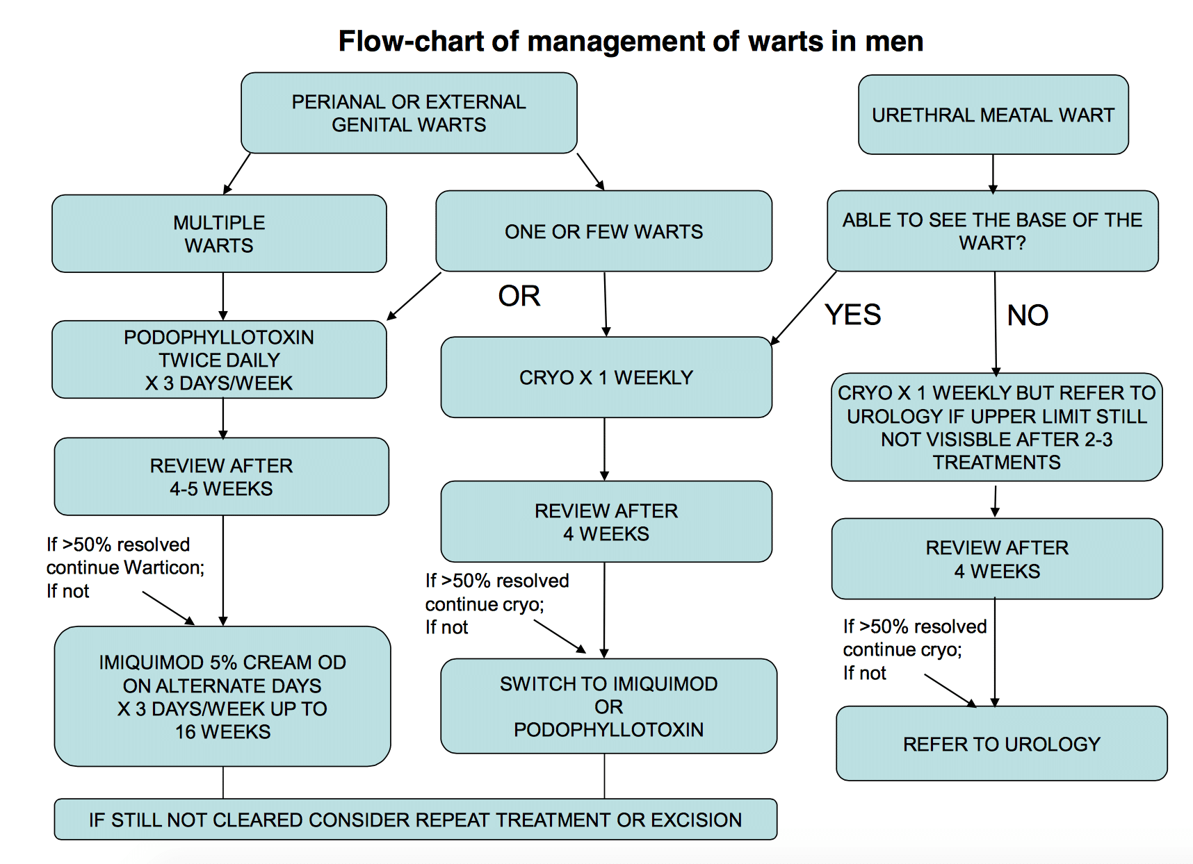 Genital Warts Clinical Feature Management TeachMeObGyn